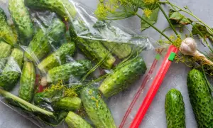 Świeże ogórki kiszone na sucho w woreczku, z dodatkiem kopru i czosnku. Gotowe do fermentacji.