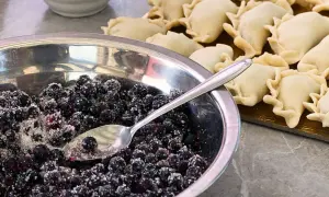 Miseczka borówek z cukrem i łyżką obok surowych pierogów z borówkami.
