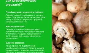 Jak przechowywać pieczarki: w lodówce, mrożone lub suszone. Porady dotyczące długotrwałego przechowywania pieczarek.