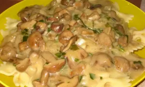 Pyszny makaron farfalle z kremowym sosem z maślaków, cebulą i natką pietruszki. Idealny przepis na to, jak zrobić sos z maślaków.