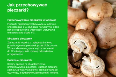 Jak przechowywać pieczarki: w lodówce, mrożone lub suszone. Porady dotyczące długotrwałego przechowywania pieczarek.