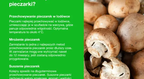 Jak przechowywać pieczarki: w lodówce, mrożone lub suszone. Porady dotyczące długotrwałego przechowywania pieczarek.