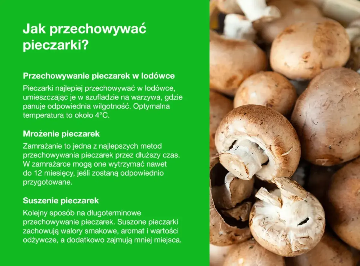 Jak przechowywać pieczarki: w lodówce, mrożone lub suszone. Porady dotyczące długotrwałego przechowywania pieczarek.
