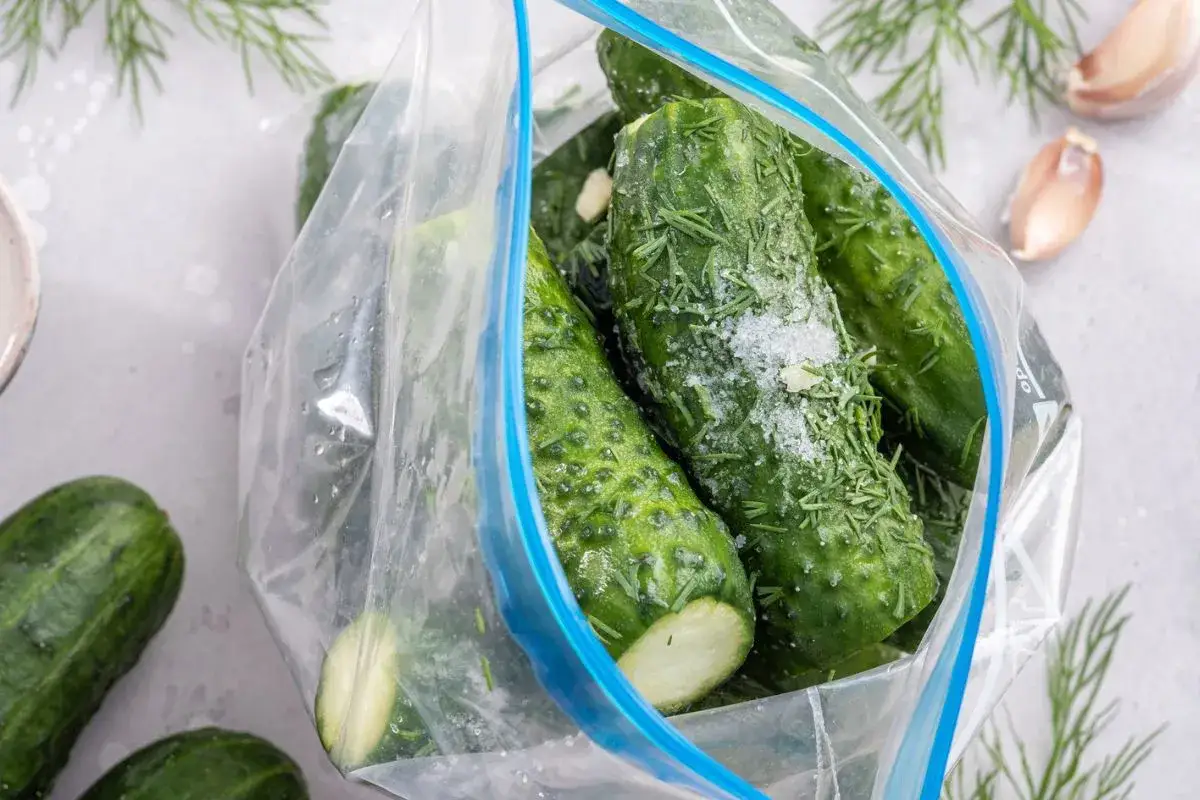 Ogórki kiszone na sucho w woreczku z koperkiem i czosnkiem. Sól i przyprawy już czekają na proces fermentacji.